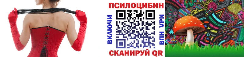 Галлюциногенные грибы Magic Shrooms  гидра ССЫЛКА  Приморск 